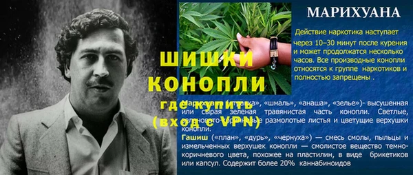 гидра Семикаракорск